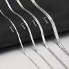 Titanium steel snake bone chain necklace for women, simple flat blade chain, gold and silver layered collarbone chain, European and American style neck chain accessory Application Scenario